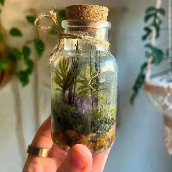 Mini Moss Terrarium with Amethyst Crystal enchanted fairy Cottagecore Witchy - Picture 1 of 6